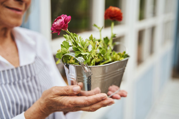 微笑的高级女性手捧盆栽在户外图片下载