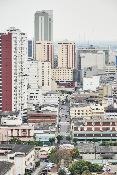 城市中的建筑物、汽车和街道。垂直的照片。图片下载