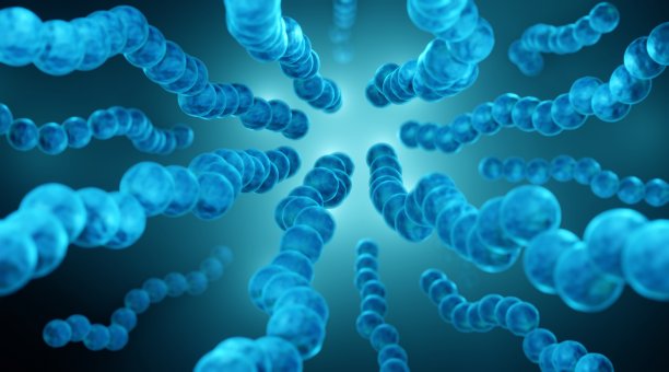 链球菌细菌3d插图图片下载