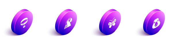 设置等距项圈与名牌金刚鹦鹉图片下载