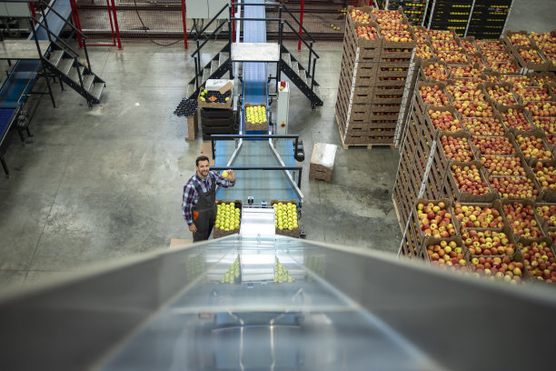 在有机食品工厂仓库生产线上工作的工人俯视图，包装待售的苹果水果。图片下载