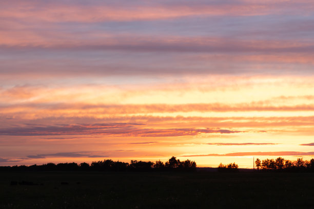 夏日草原上的日落图片下载