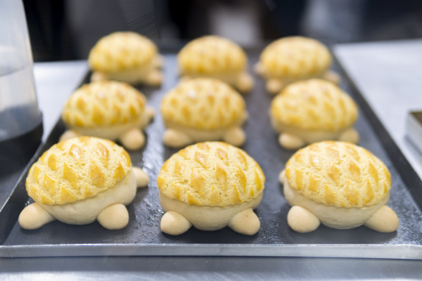 可爱龟形菠萝包(菠萝包)图片下载