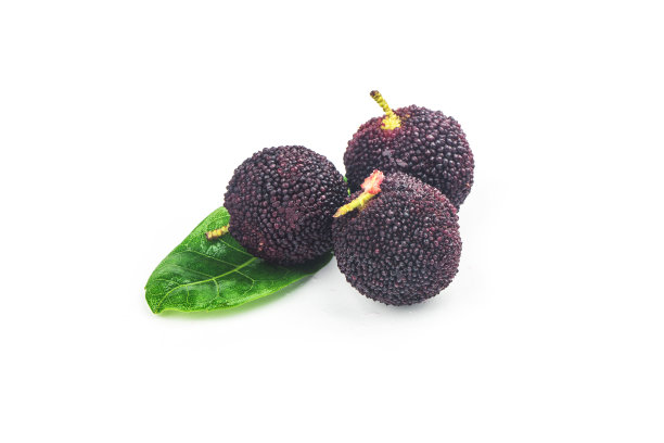 白色背景上的新鲜杨梅图片下载
