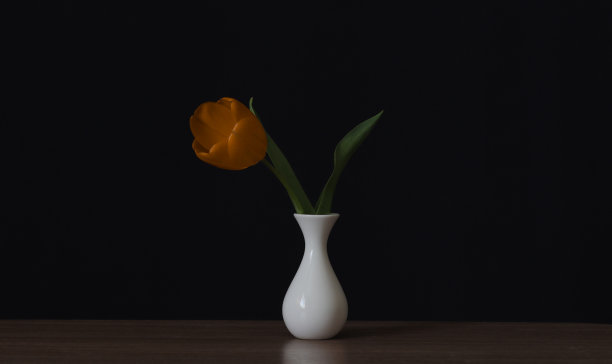 花瓶里的橙色郁金香花图片下载