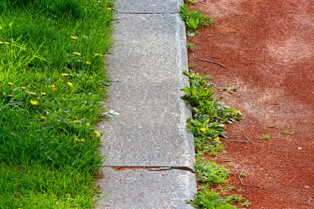 草坪、路缘和红地毯。图片下载