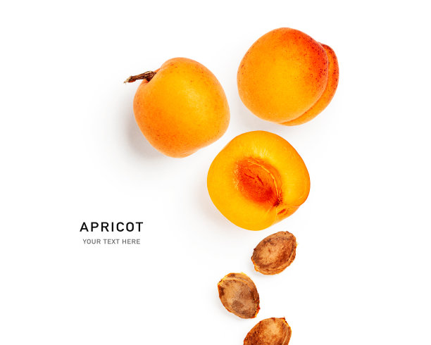 杏和种子创意布局图片下载