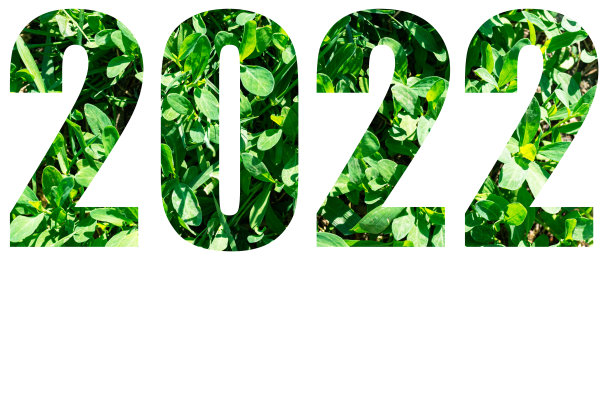 新年贺卡。2022年的数字从绿色的草孤立在白色的背景。您的设计元素图片下载