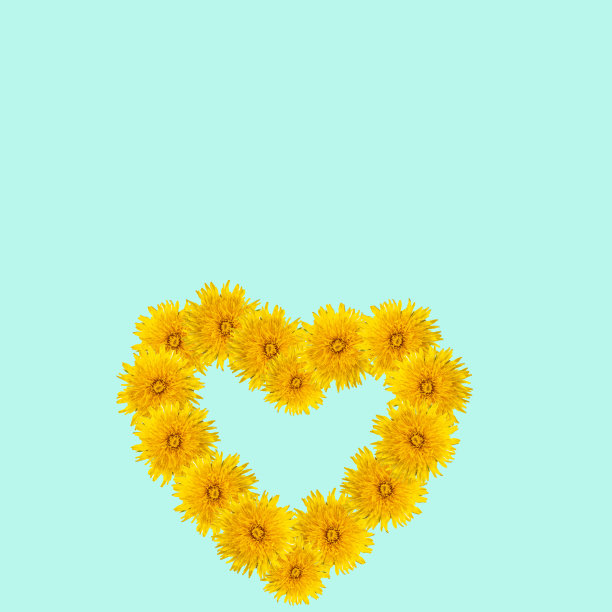 象征着爱，幸福，夏天——一个心形的黄色蒲公英在浅蓝色的背景上图片下载