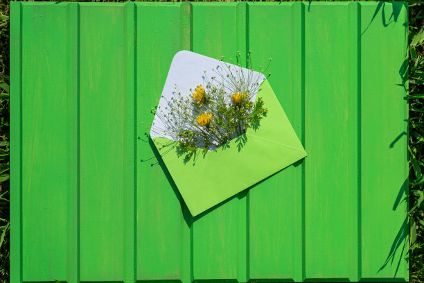 绿色的信封，叶子和野花在绿色的木制背景图片下载