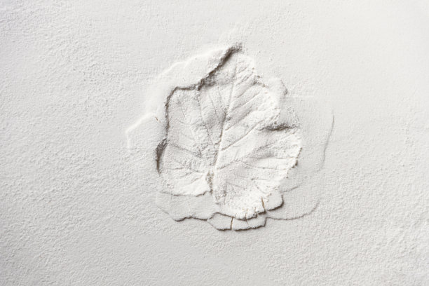 白色粉末上印着树叶的剪影图片下载