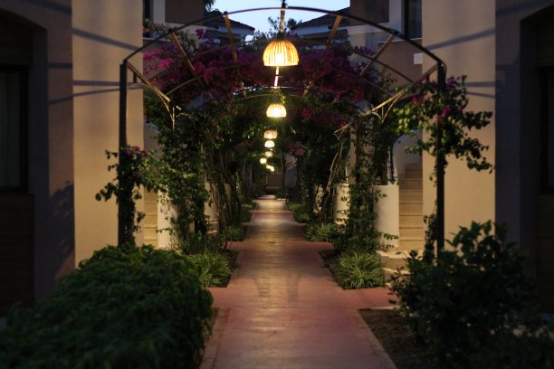 一条鲜花遍地的小路图片下载