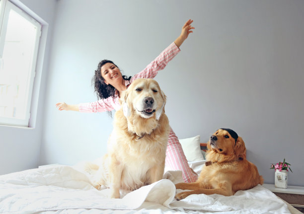 年轻女子醒来后在床上和她的狗玩耍图片下载