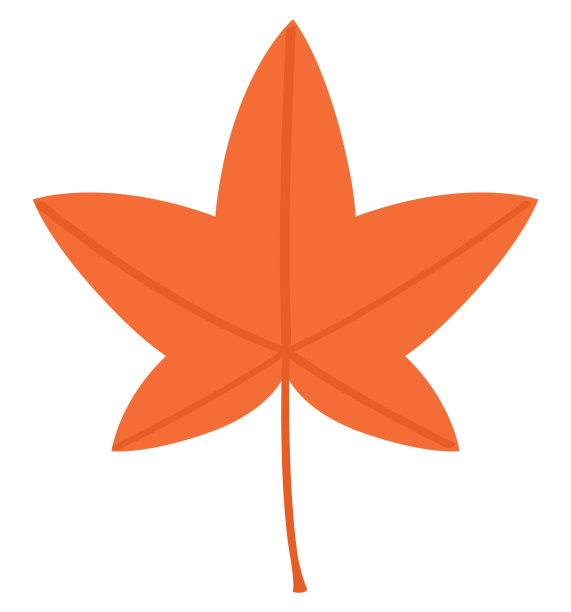 红色的枫叶在秋天图片下载