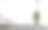 空的办公室内部配有会议桌和盆栽植物图片下载