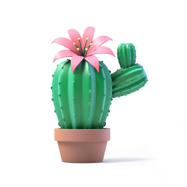 盆中仙人掌孤立在白色背景上图片下载