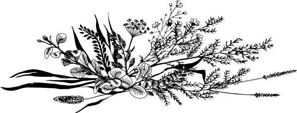 野生花草画黑线图片下载