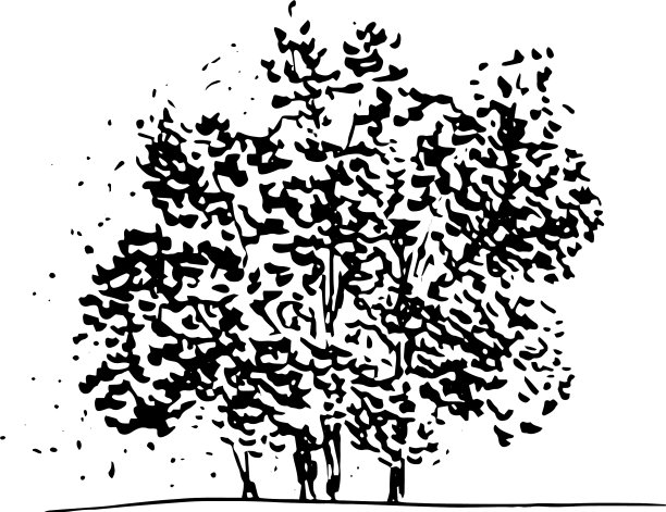 树组手绘单色素描图片下载