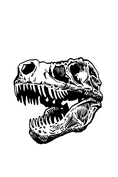 图形头骨霸王龙在白色图片下载