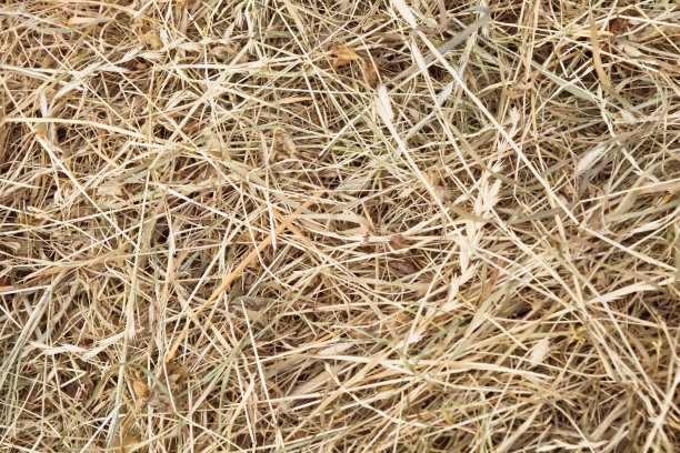干草堆纹理，干草堆纹理背景，金色的干草堆在农村的田野里，近距离的一根干草堆图片下载