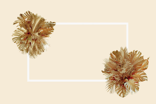 框架与一组金色的热带树叶，兰花，棕榈叶和蒙特拉波西米亚风格，孤立在柔和的灰色背景。图片下载