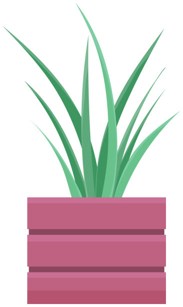 室内装饰常绿植物，长而窄图片下载