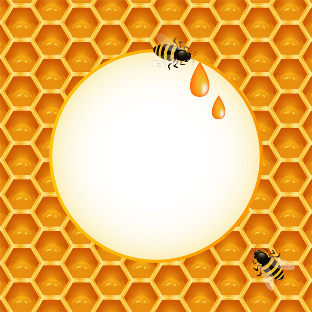 蜂蜜框架与蜜蜂和蜂窝图片下载