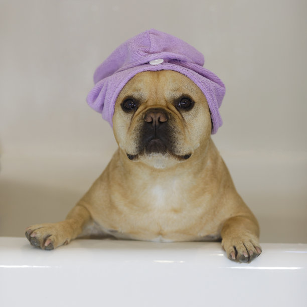 在浴缸里裹着头巾的法国佬。图片下载