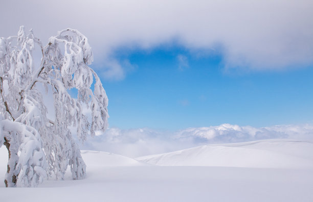 一片蓝天在白雪皑皑的风景中图片下载