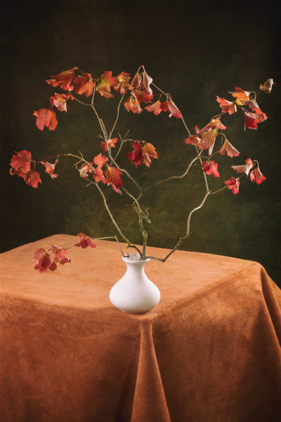 秋天的静物与荚枝在一个白色花瓶图片下载