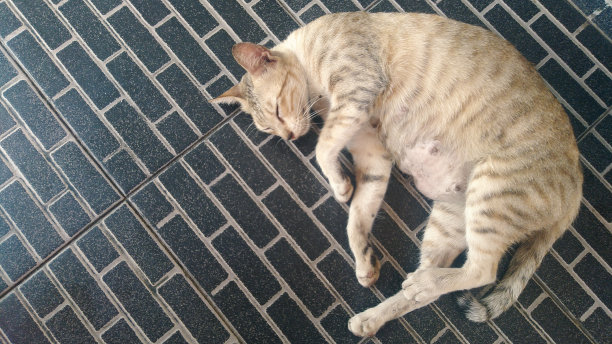 油漆的家乡图片下载