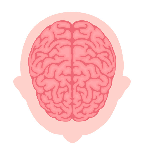 人脑矢量图(上图)图片下载