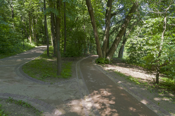 公园里的景观小径。图片下载