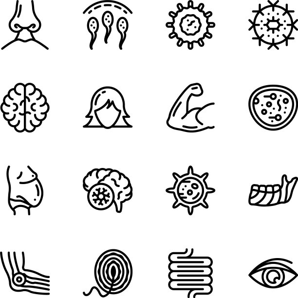 包装器官线图标图片下载