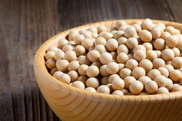 大豆种子放在一个木碗里图片下载