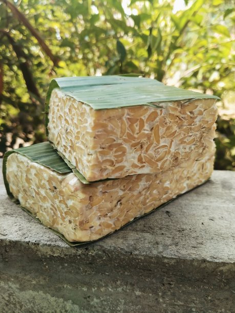 印尼的坦佩是用大豆制成的图片下载