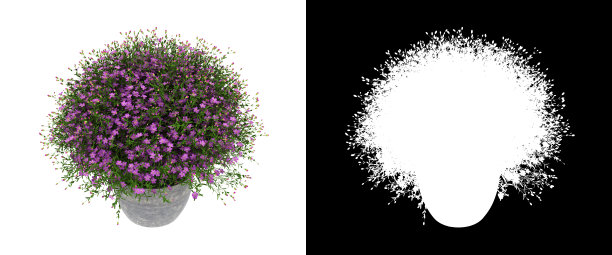 3D渲染盆景吉普赛壁画孤立在白色背景阿尔法通道图片下载