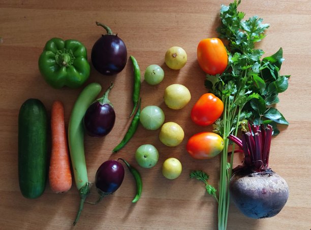 新鲜蔬菜，食物，小丘库存形象图片下载
