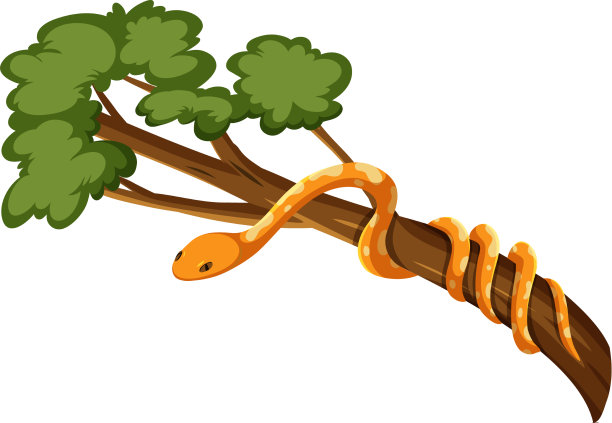 在白色背景上孤立的树枝上的蛇图片下载