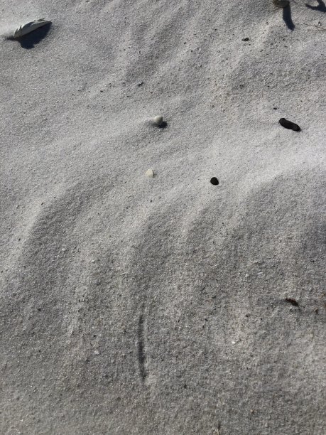 特写镜头沙滩图片下载