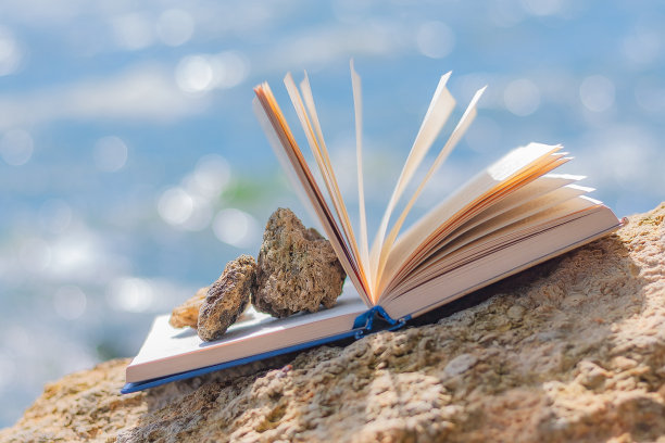 用小石头打开书图片下载