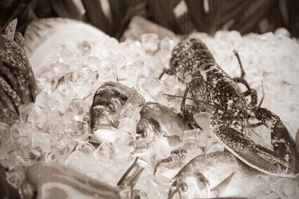 海产品的组成图片下载