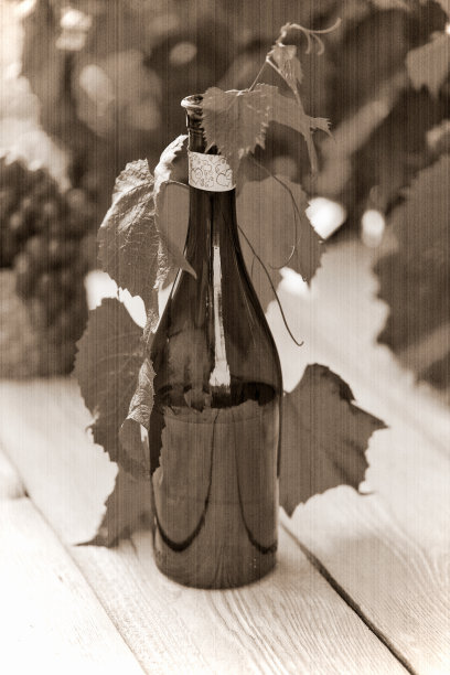 维纳亚主题。图片下载