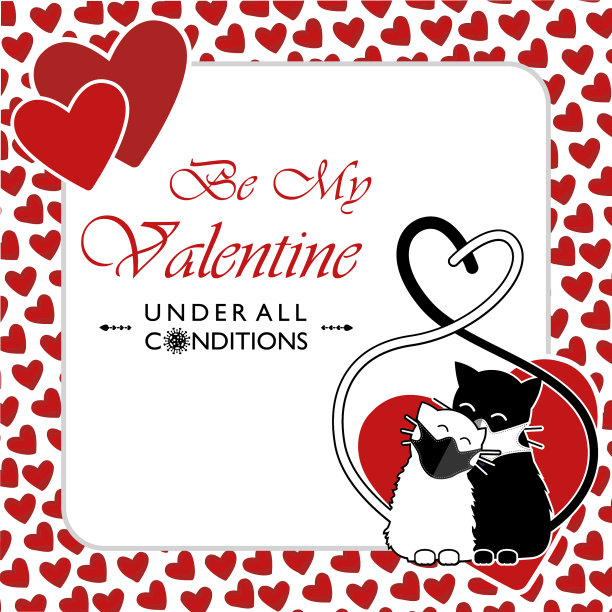 做我的情人吧，无论什么情况图片下载