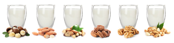 设置不同类型的素食牛奶和坚果在白色的背景。旗帜设计图片下载