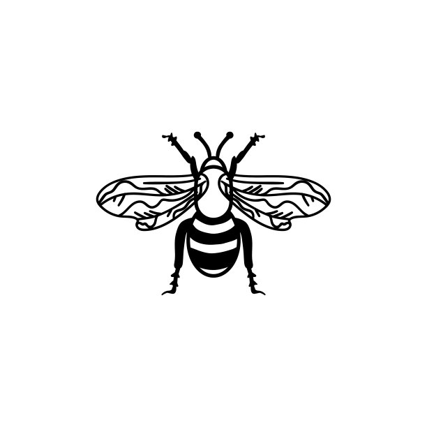 蜜蜂图标设计模板矢量孤立插图图片下载