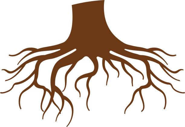 隔离的根图标设计模板图片下载