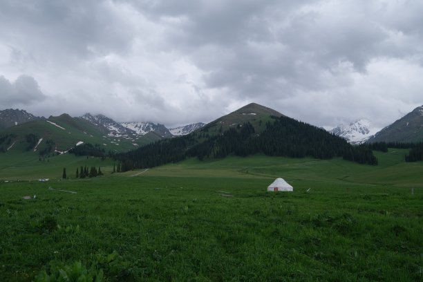 绿色草原上的蒙古包。背后的雪山图片下载