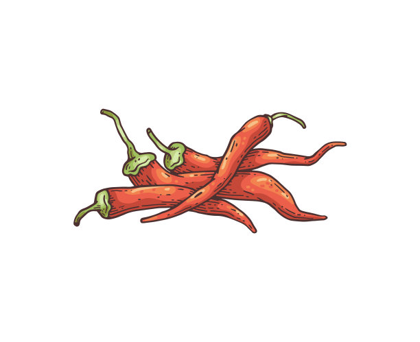 矢量插图孤立在白色背景。图片下载