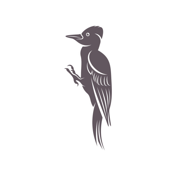 啄木鸟设计创意啄木鸟图片下载